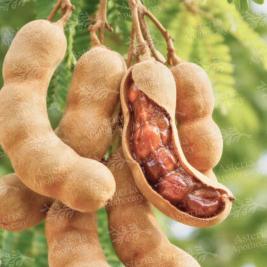 TAMARIND SEED OIL | UNREFINED