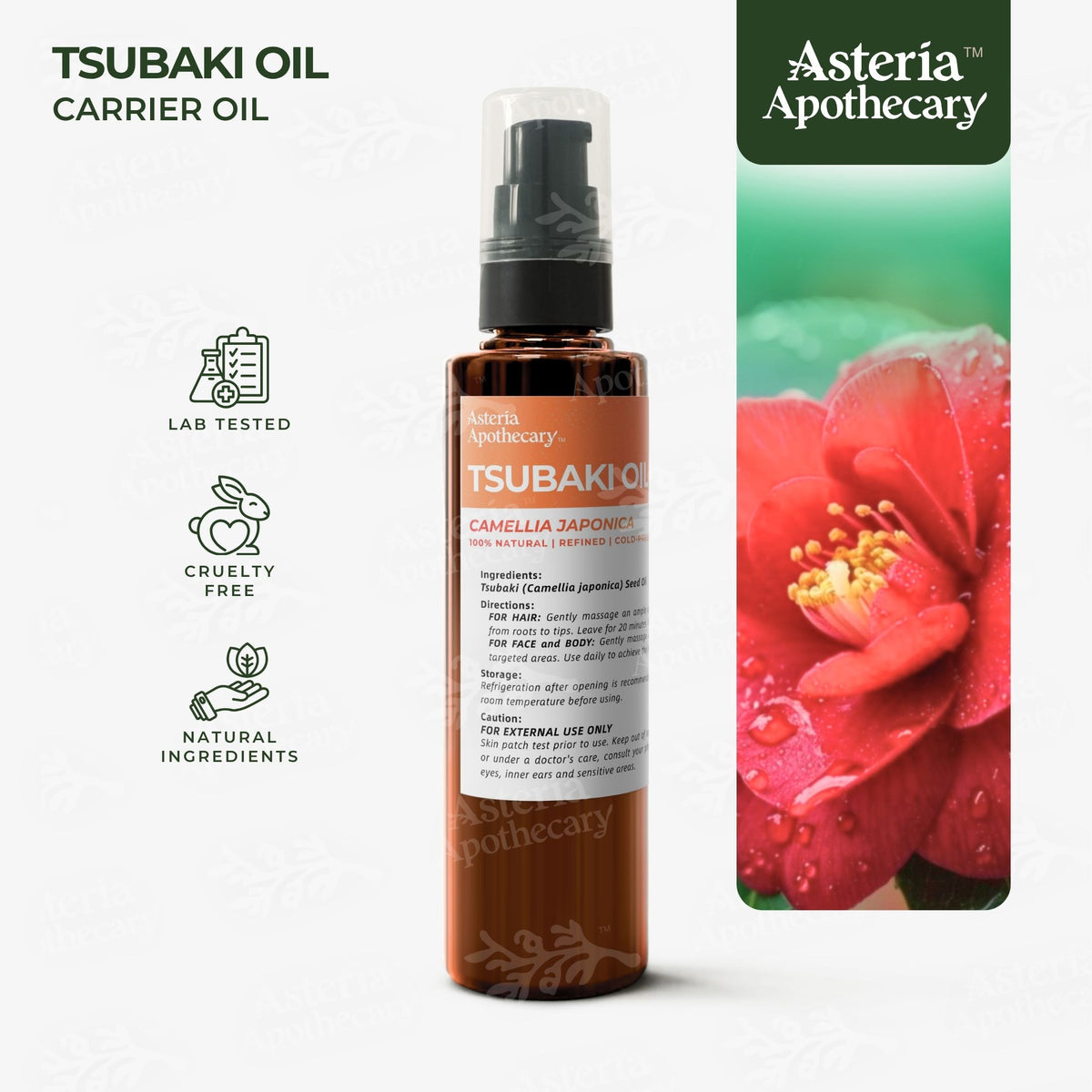 Camelia Oil | Tsubaki Oil