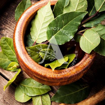 Tobacco & Bay Fragrance Oil