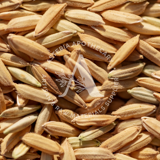 Rice Bran Oil