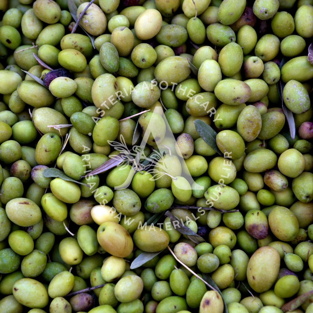 Olive Oil, Pomace