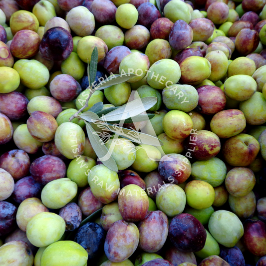 Olive Oil